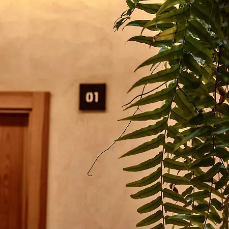Casa 95