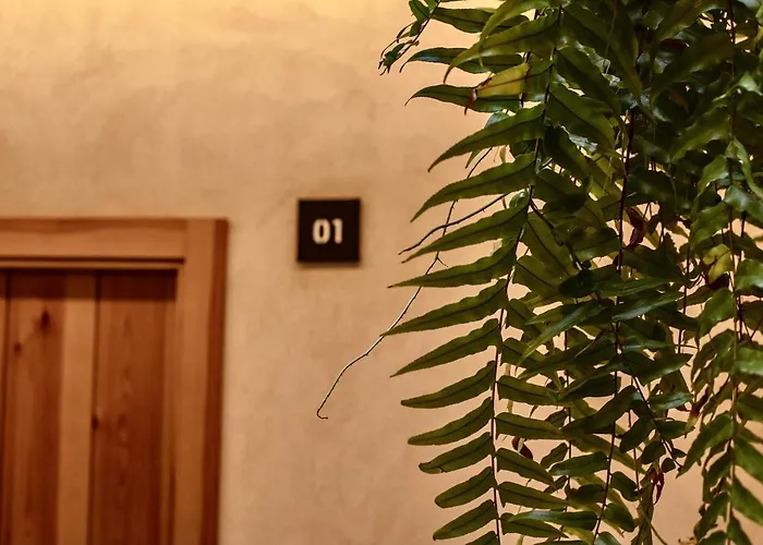 Casa 95
