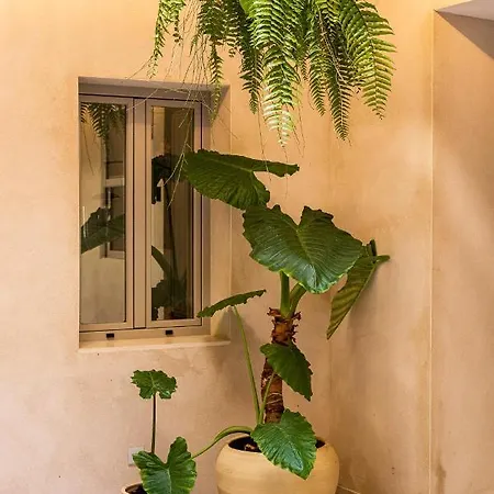 Casa 95 شقة فندقية إشبيلية